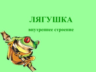 Лягушка