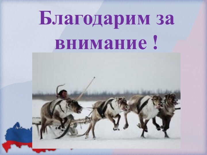 Благодарим за внимание !