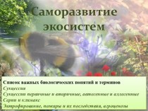 Саморазвитие экосистем