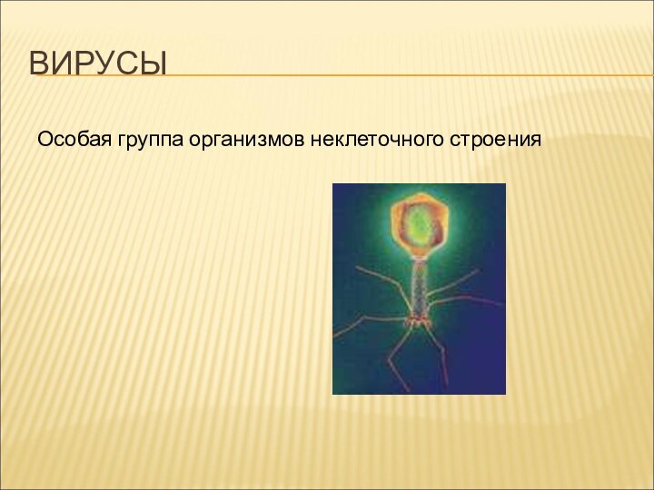 ВИРУСЫОсобая группа организмов неклеточного строения