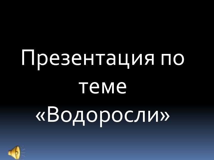 Презентация по теме «Водоросли»