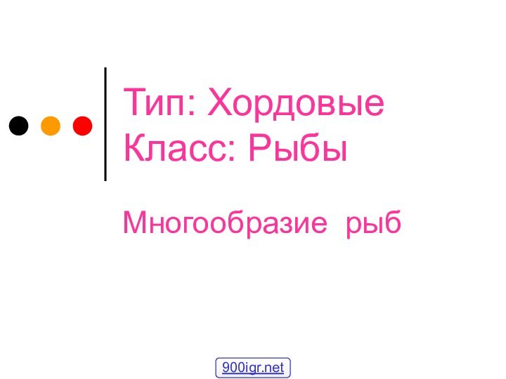 Тип: Хордовые Класс: РыбыМногообразие рыб