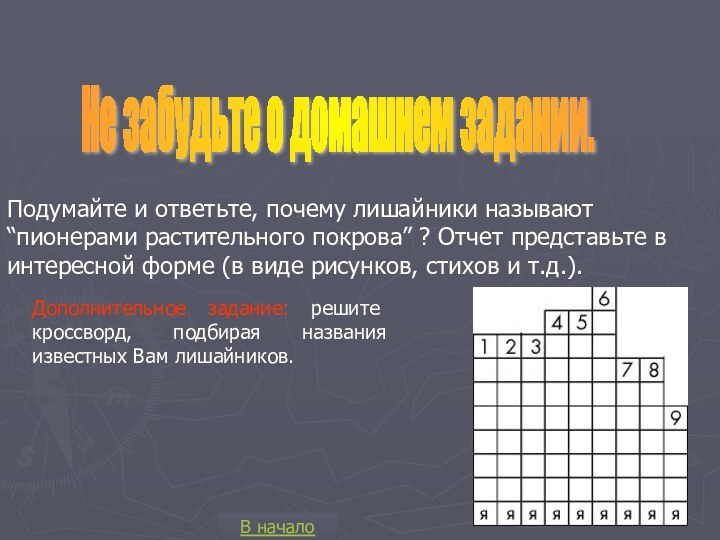 Не забудьте о домашнем задании. Подумайте и ответьте, почему лишайники называют “пионерами