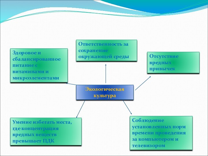 Экологическая культура Отсутствие вредных привычекЗдоровое и сбалансированное питание с витаминами и микроэлементамиОтветственность