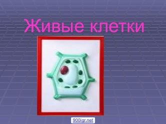 Живые клетки