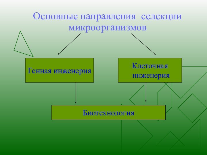 Основные направления селекции микроорганизмовГенная инженерияКлеточная инженерияБиотехнология