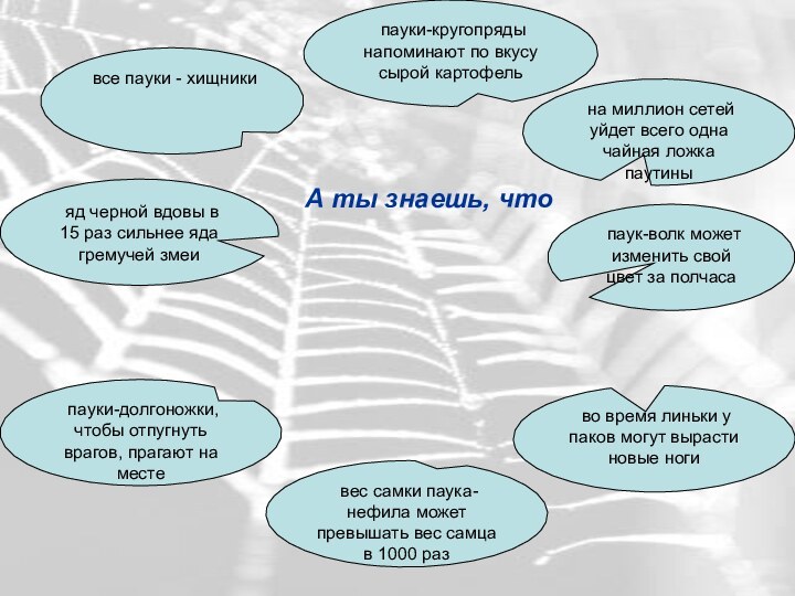 А ты знаешь, что на миллион сетей уйдет всего одна чайная ложка