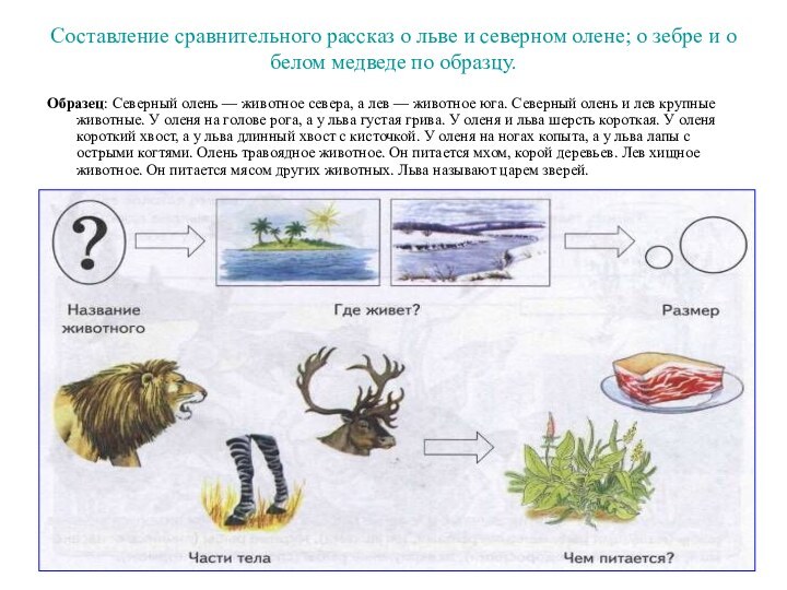 Составление сравнительного рассказ о льве и северном олене; о зебре и о