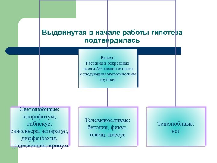 Выдвинутая в начале работы гипотеза подтвердилась