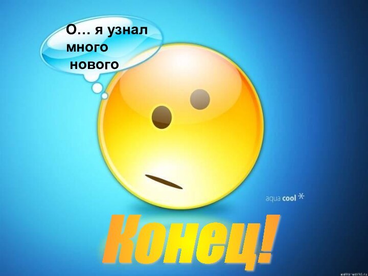 Конец! О… я узнал   много нового