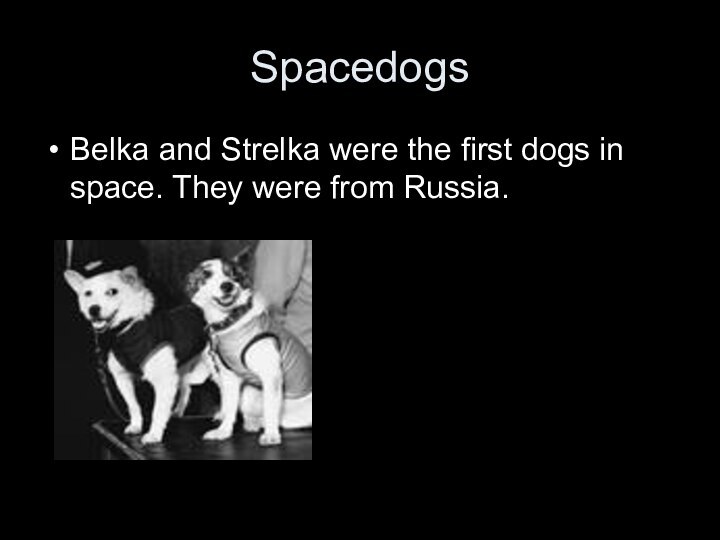 SpacedogsBelka and Strelka were the first dogs in space. They were from Russia.