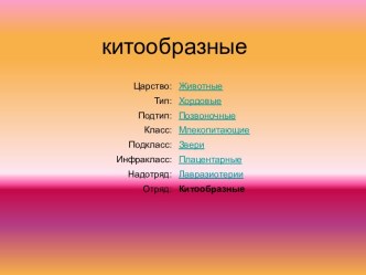 Китообразные