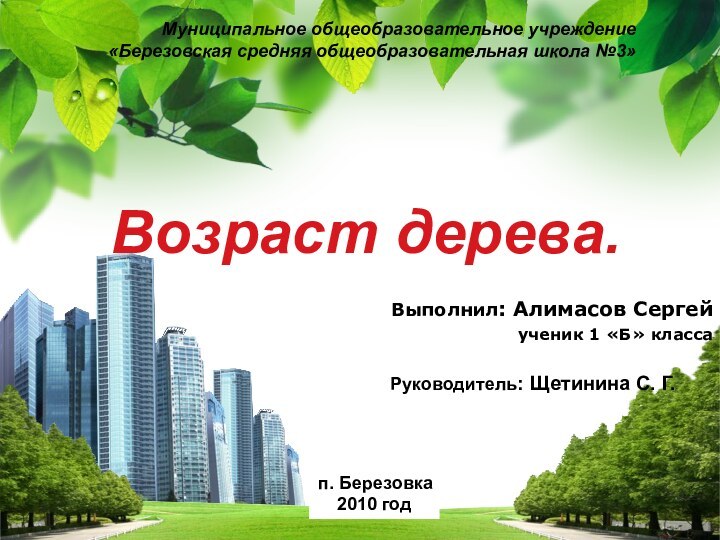 Возраст дерева. Выполнил: Алимасов Сергейученик 1 «Б» классаМуниципальное общеобразовательное учреждение  «Березовская