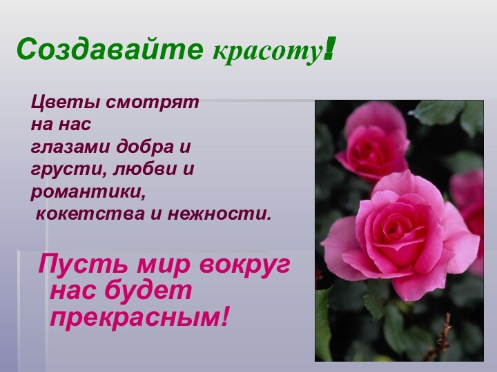 Создавайте красоту!Цветы смотрят на насглазами добра и грусти, любви иромантики, кокетства и