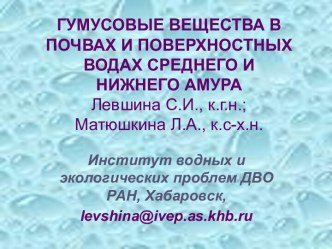 Гумусовые вещества в почвах и поверхностных водах среднего и нижнего Амура