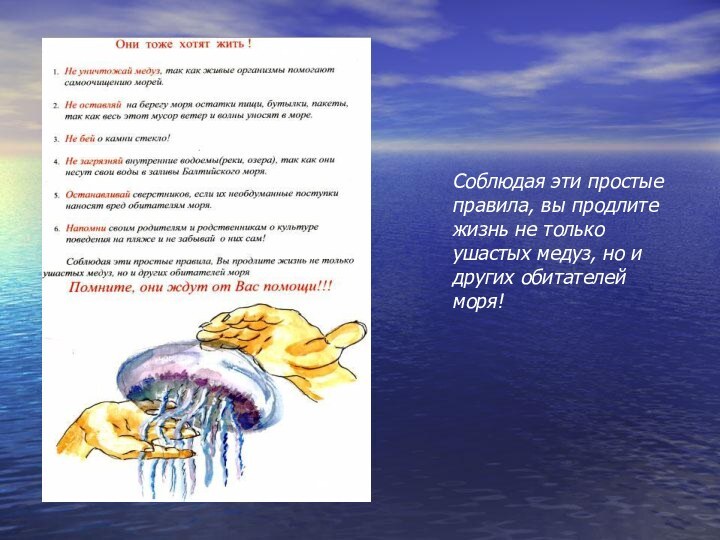 Соблюдая эти простые правила, вы продлите жизнь не только ушастых медуз, но и других обитателей моря!