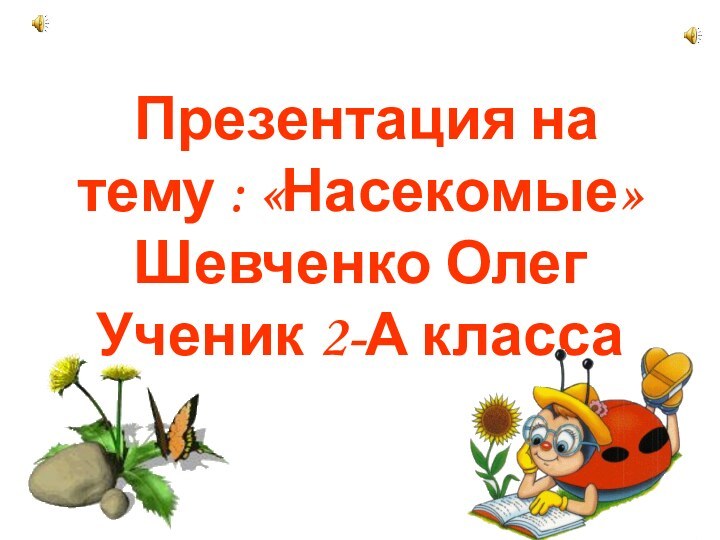 Презентация на тему : «Насекомые» Шевченко Олег  Ученик 2-А класса