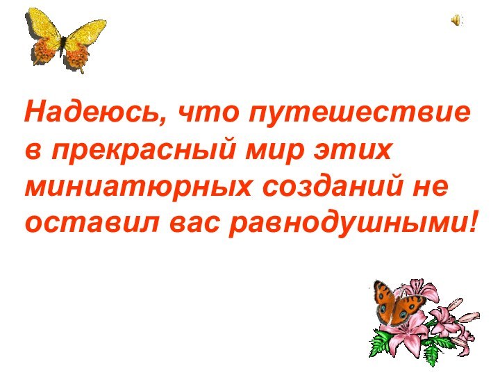 Надеюсь, что путешествие в прекрасный мир этих миниатюрных созданий не оставил вас равнодушными!