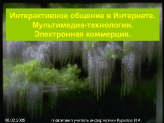 Интерактивное общение в Интернете. Мультимедиа-технологии. Электронная коммерция