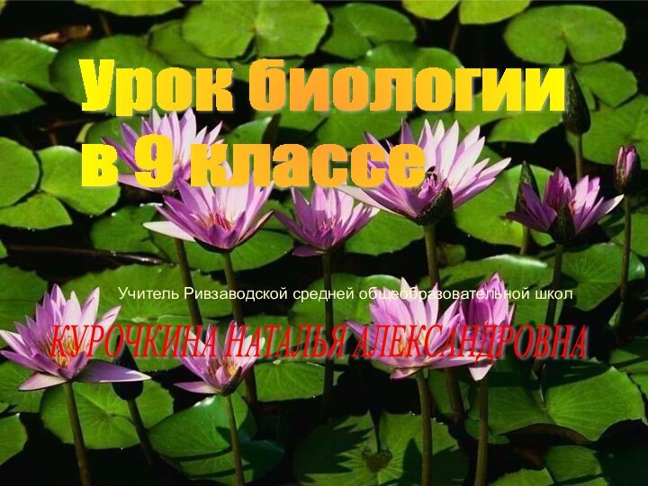 Учитель Ривзаводской средней общеобразовательной школУрок биологии  в 9 классе Учитель Ривзаводской