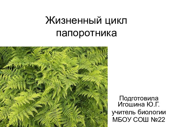 Жизненный цикл папоротникаПодготовила Игошина Ю.Г.учитель биологииМБОУ СОШ №22