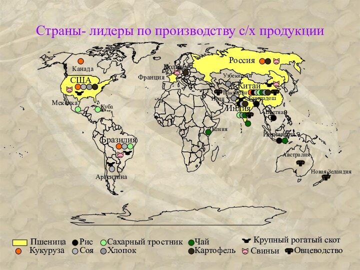 Страны- лидеры по производству с/х продукцииРоссияСШАКитайБразилияИндияПшеницаФранцияКукурузаКанадаРисСояБангладешИндонезияВьетнамАргентинаКубаМексикаПакистанУзбекистанКенияПольшаСахарный тростникЧайХлопокКартофельКрупный рогатый скотСвиньиИранАвстралияНовая ЗеландияОвцеводство