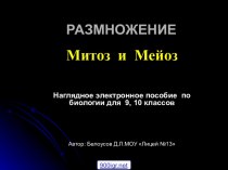 Митоз и мейоз