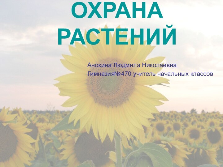 ОХРАНА РАСТЕНИЙАнохина Людмила НиколаевнаГимназия№470 учитель начальных классов