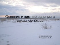 Осень и зима в жизни растений