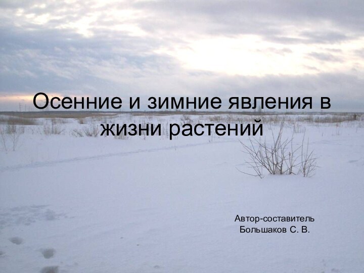 Осенние и зимние явления в жизни растенийАвтор-составительБольшаков С. В.