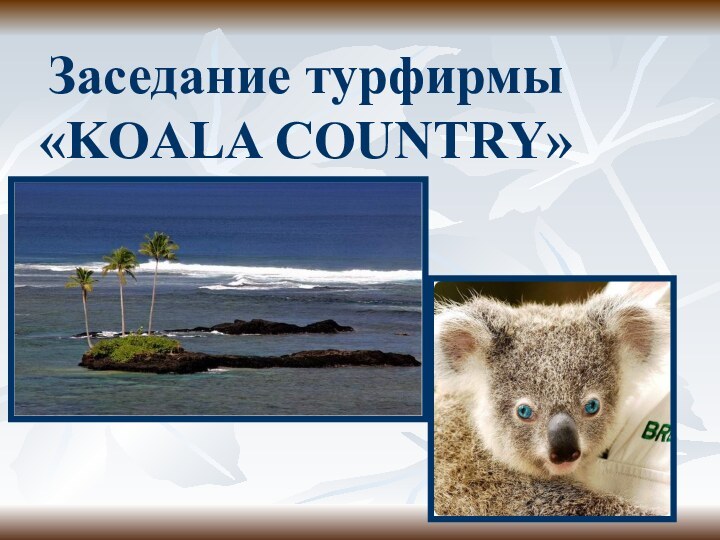 Заседание турфирмы «KOALA COUNTRY»