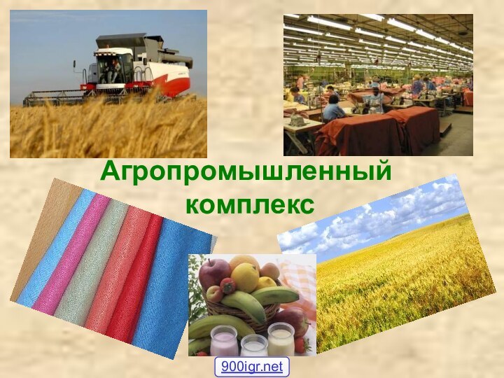 Агропромышленный  комплекс