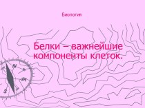 Структура белка