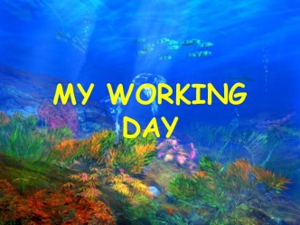 My working day