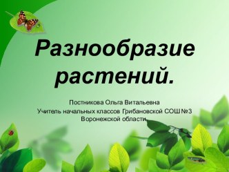 РАЗНООБРАЗИЕ РАСТЕНИЙ