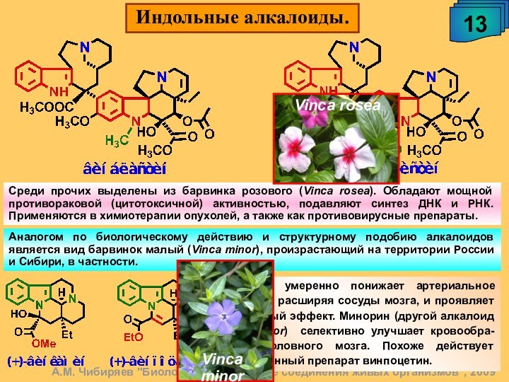 Индольные алкалоиды.13А.М. Чибиряев 