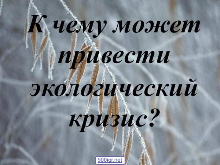 К чему может привестиэкологический кризис?