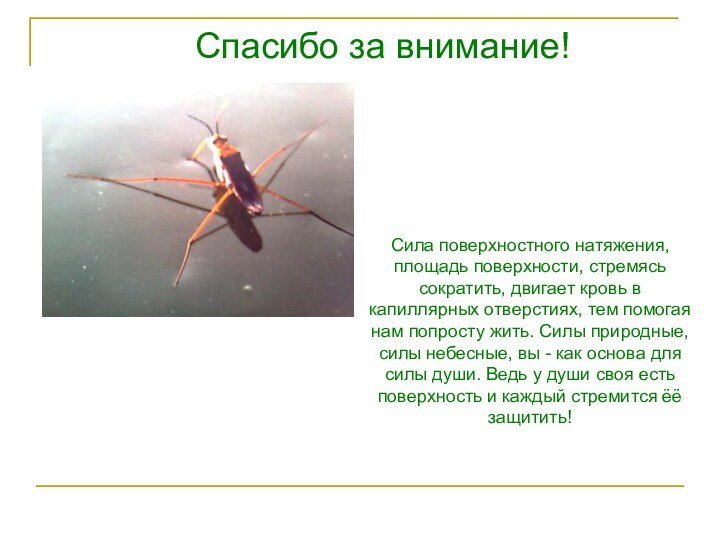 Спасибо за внимание!Сила поверхностного натяжения, площадь поверхности, стремясь сократить, двигает кровь в