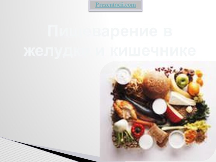 Пищеварение в желудке и кишечникеPrezentacii.com