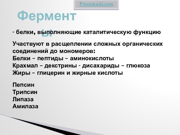 Ферменты- белки, выполняющие каталитическую функциюУчаствуют в расщеплении сложных органических соединений до мономеров:Белки