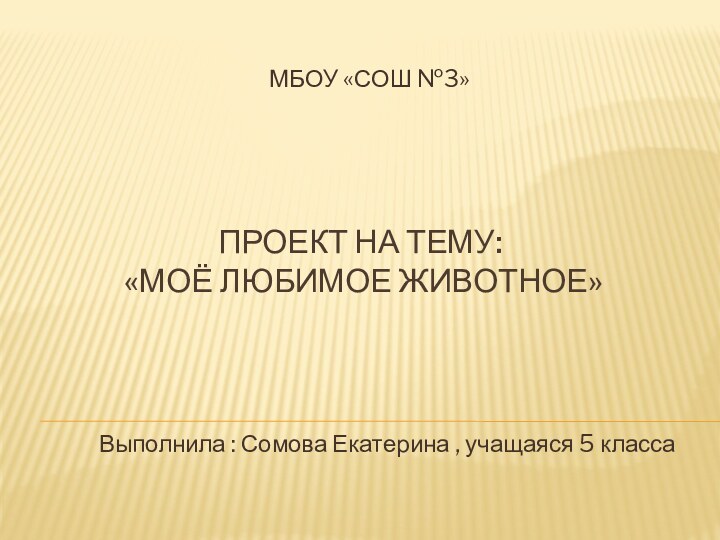 ПРОЕКТ на тему:   «Моё любимое животное»   МБОУ «СОШ №3»Выполнила