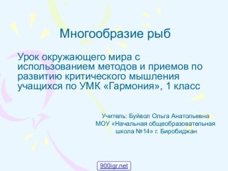 Многообразие рыб