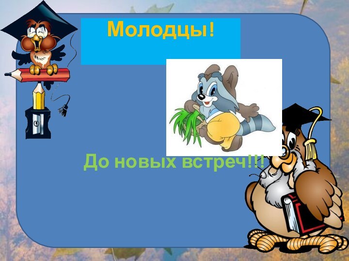 Молодцы! До новых встреч!!!