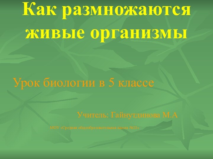 Как размножаются живые организмыУрок биологии в 5 классе