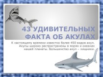 43 удивительных фактов об акулах