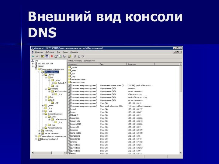 Внешний вид консоли DNS