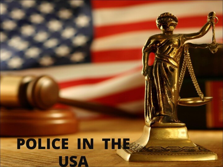 POLICE IN THE USA