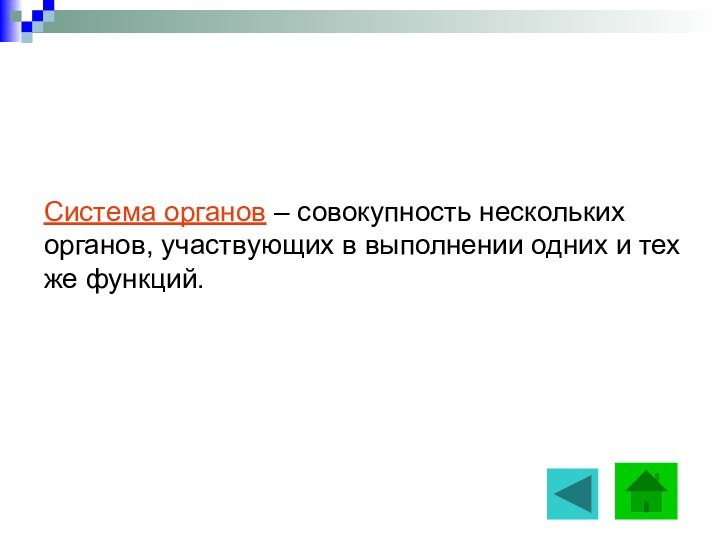 Система органов – совокупность нескольких органов, участвующих в выполнении одних и тех же функций.