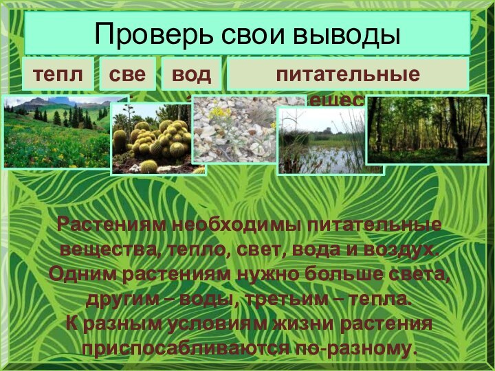 Проверь свои выводытеплосветводапитательные веществаРастениям необходимы питательные вещества, тепло, свет, вода и воздух.