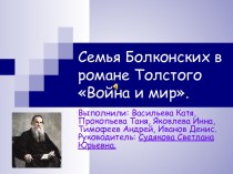 Семья Болконских в романе Толстого Война и мир